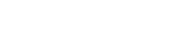 Global Coach Verification